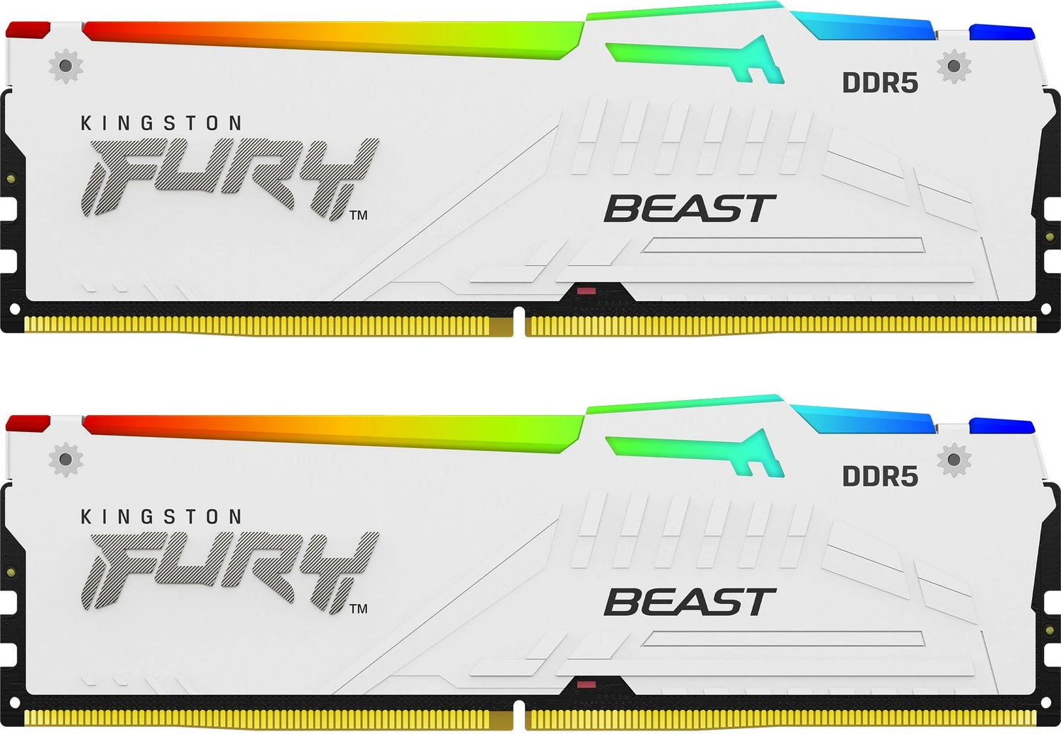 FURY Beast RGB blanc 32GB DDR5 6000 CL30