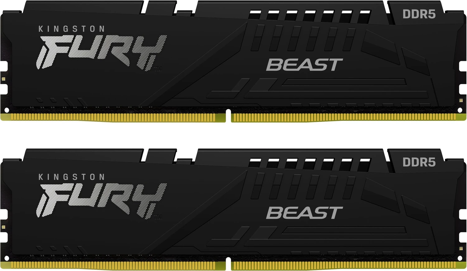 FURY Beast noir 32GB DDR5 6000 CL30